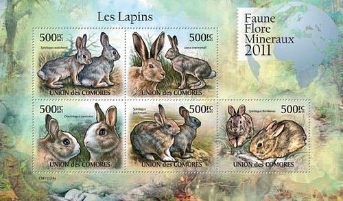 Colnect-4860-068-Rabbits.jpg