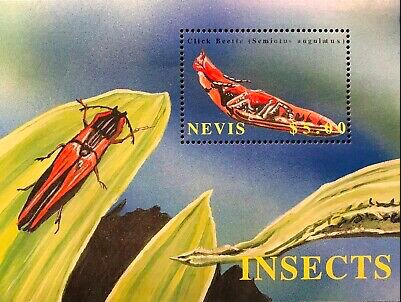 Colnect-6020-012-Insects-2.jpg