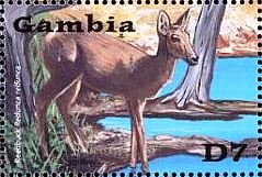 Colnect-4725-139-Reedbuck.jpg