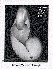 Colnect-201-921-Two-Shells.jpg