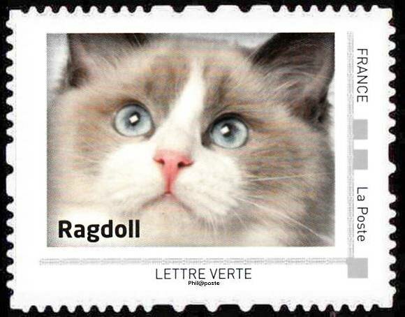 Colnect-5518-304-Ragdoll.jpg