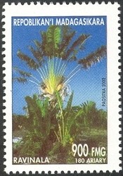 Colnect-1458-360-Ravinala.jpg