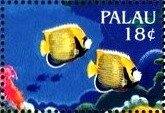 Colnect-5861-939-Angelfish.jpg