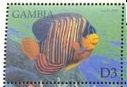 Colnect-4907-072-Anglefish.jpg