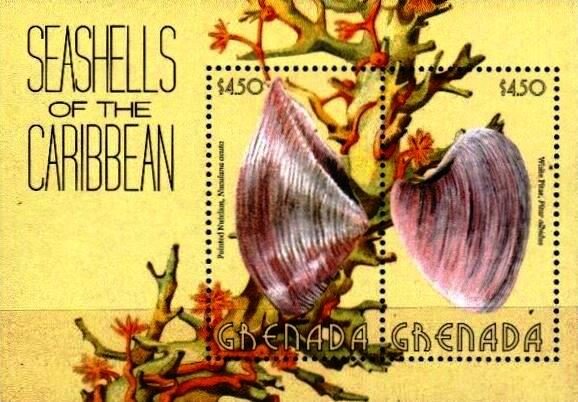 Colnect-6020-985-Seashells.jpg
