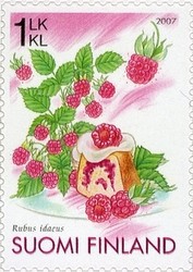 Colnect-411-974-Raspberry-Rubus-idaeus.jpg