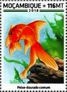 Colnect-5669-159-Common-Goldfish.jpg
