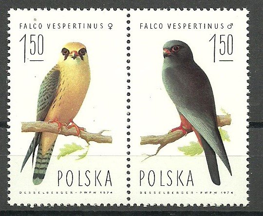 Colnect-4455-892-Predator-Birds-Falcons.jpg