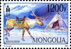 Colnect-1476-851-Reindeer-Rangifer-tarandus.jpg