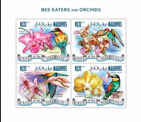 Colnect-4880-285-European-Bee-eater--Merops-apiaster.jpg