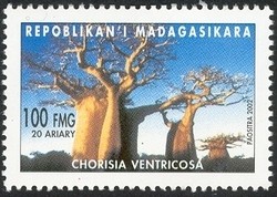 Colnect-1458-356-Floss-silk-Tree.jpg