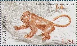 Colnect-3754-234-Monkey-Dolichopithecus-Ruscinenis.jpg