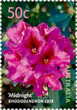 Colnect-457-340-Midnight-Rhododendron.jpg
