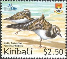 Colnect-1754-081-Ruddy-Turnstone-Arenaria-interpres.jpg