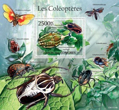 Colnect-4985-963-Insects---Beetles.jpg