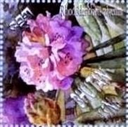 Colnect-3410-583-Rhododendron-niveum.jpg