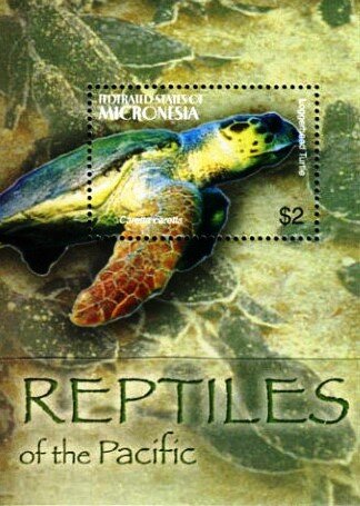 Colnect-5661-797-Loggerhead-turtle.jpg