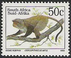 Colnect-800-934-Diademed-Monkey-Cercopithecus-mitis.jpg