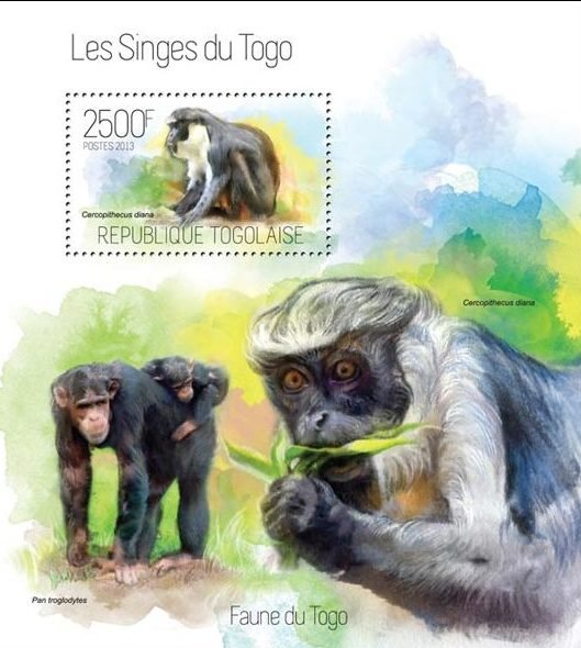 Colnect-4552-285-Cercopithecus-diana.jpg