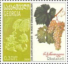 Colnect-1106-570-Rkatsiteli-grape.jpg