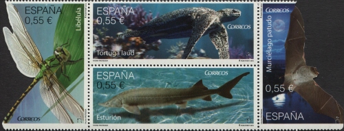 ES065MS.15.jpg