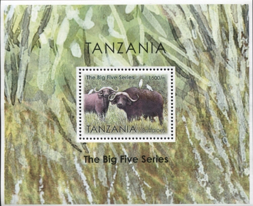 TZ065MS.13.jpg