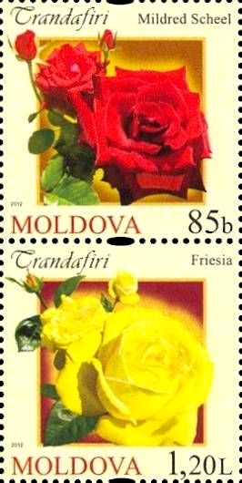 Colnect-2613-232-Roses.jpg