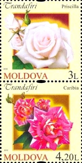 Colnect-2613-233-Roses.jpg