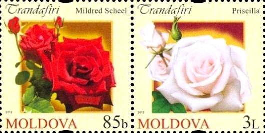 Colnect-2613-234-Roses.jpg