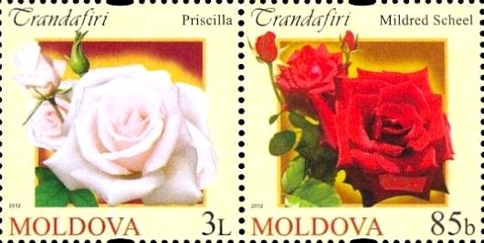 Colnect-2613-236-Roses.jpg
