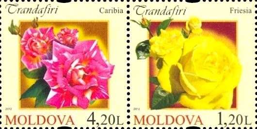 Colnect-2613-237-Roses.jpg