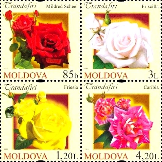 Colnect-2613-240-Roses.jpg