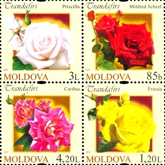 Colnect-2613-241-Roses.jpg