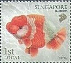 Colnect-6240-552-Ranchu.jpg