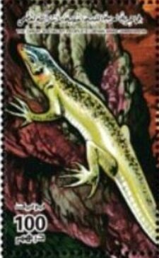 Colnect-5471-649-Lizard.jpg