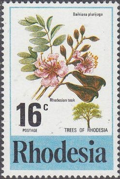 Colnect-2131-517-Rhodesian-Teak.jpg