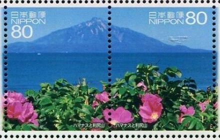 Colnect-5654-513-Rosa-Rugosa-and-Mount-Rishiri-Toyotomi-cho-Teshio-District.jpg