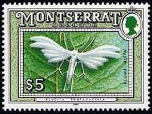 Colnect-3473-910-Plume-moth.jpg