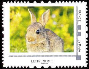 Colnect-6034-393-Rabbits.jpg