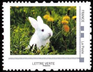 Colnect-6034-394-Rabbits.jpg