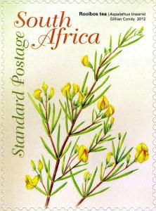 Colnect-1389-953-Rooibos.jpg