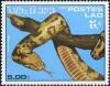 Colnect-830-042-Indian-Rock-Python-Python-molurus.jpg