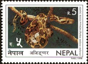 Colnect-4968-244-Indian-Rock-Python-Python-molurus.jpg