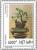 Colnect-1656-098-Ficus-elastica-Roxb.jpg