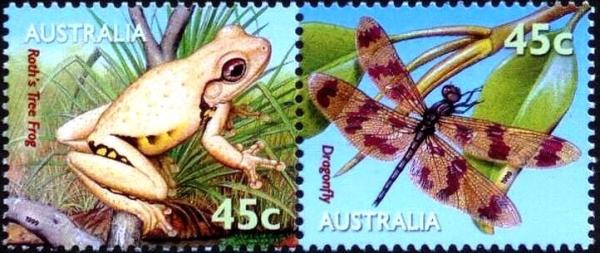 Colnect-2610-029-Roth--s-Tree-Frog--Graphic-Flutterer.jpg