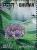 Colnect-3354-991-Rhododendron-Rhododendron-sp.jpg