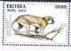Colnect-5188-427-Green-monkey-Cercopithecus-aethiops.jpg