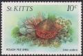 Colnect-3680-259-Rough-File-Shell-Ctenoides-scaber.jpg