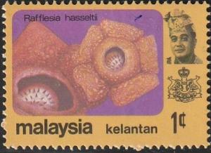 Colnect-5902-784-Rafflesia-hasseltii.jpg