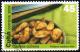 Colnect-1775-940-Ripe-bananas-fried.jpg